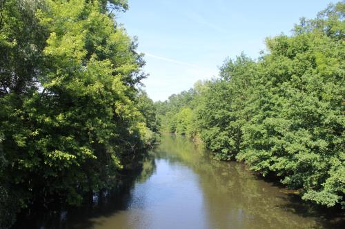 a river with trees on both sides of it at Spreewald Ferienwohnung Lübben in Lübben