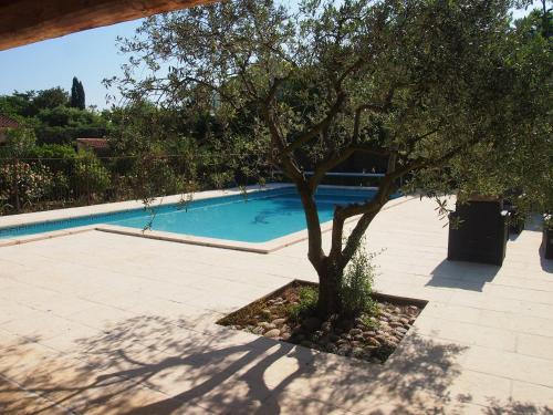 un arbre assis à côté d'une piscine dans l'établissement Les Buis, à Carpentras