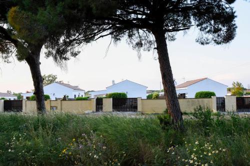 Villas Perez Zara (España Conil de la Frontera) - Booking.com