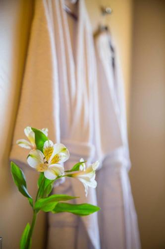 a white flower in front of a white robe at Ayres del Champaqui Hotel Boutique Experiencial & Spa in Villa General Belgrano