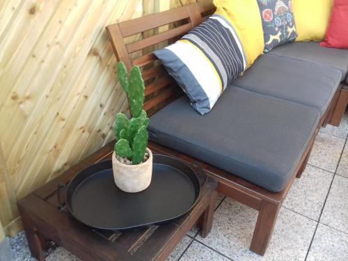a cactus in a pot on a table next to a couch at Ferienwohnung Wiesmühlstrasse in Henndorf am Wallersee