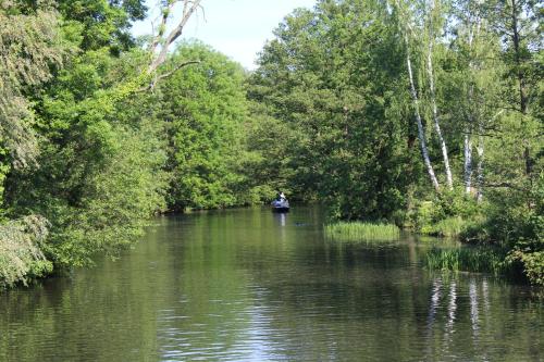 a person in a boat on a river at Spreewald Ferienwohnung Lübben in Lübben