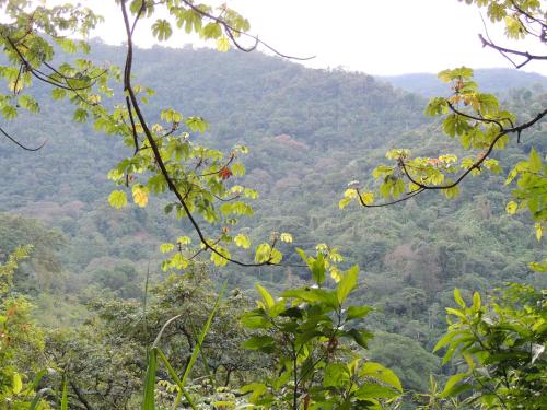 a view of the mountains from the forest at Hostal Alto de la Montaña in Minca