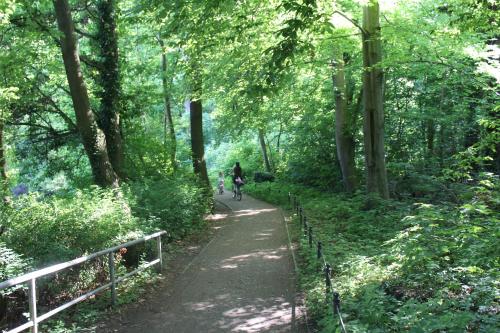 a person riding a bike on a trail in the woods at Spreewald Ferienwohnung Lübben in Lübben