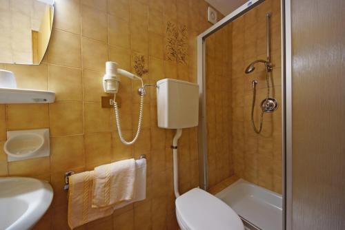 a bathroom with a shower and a toilet and a sink at Piz da Cir in Colfosco