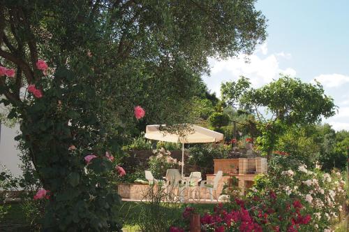 a garden with an umbrella and chairs and flowers at Holiday house in the Kotor Bay in Kotor