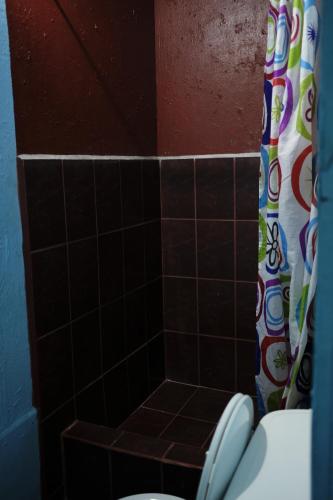a bathroom with a toilet and a shower curtain at Hostal del Este Santa Fe in San José