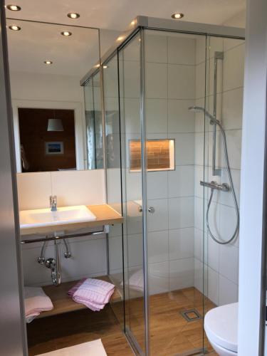 een badkamer met een douche en een wastafel bij Haus Werner in Ramsau am Dachstein