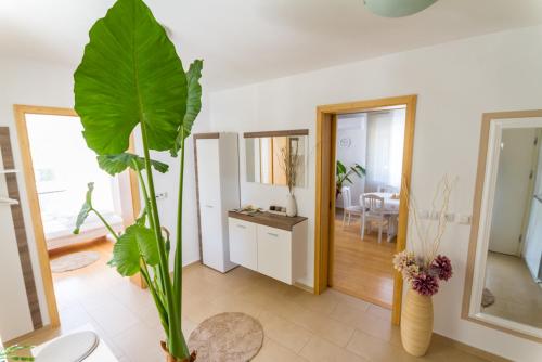 a living room with a large green plant at Apartma in Ormoz