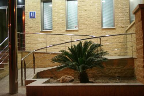 a palm tree sitting in front of a building at Hotel Biarritz in Gandía