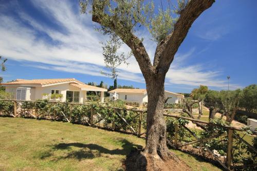 a house with a fence and a tree at Ville D'Ogliastra in Cardedu