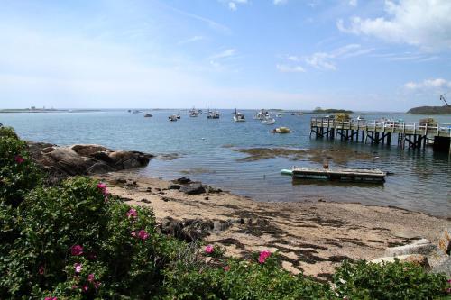 a group of boats in the water near a dock at Rhumb Line Resort in Kennebunkport