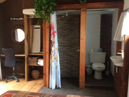 a bathroom with a toilet and a sink at B&B Oui Madame in Tijuana