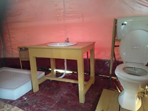 uma casa de banho com um lavatório e um WC em Aru Eco Resort em Pahalgām
