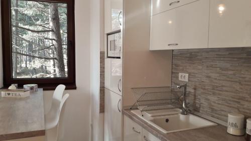 uma cozinha com um lavatório e uma janela em Zlatibor Wood em Zlatibor