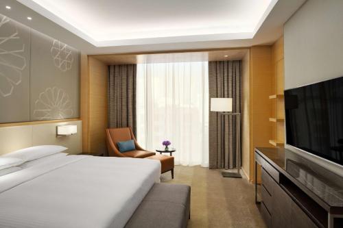 Μια τηλεόραση ή/και κέντρο ψυχαγωγίας στο Hyatt Regency Riyadh Olaya