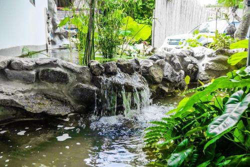 a waterfall in a pond in a garden at Zama Resort Koh Phangan in Haad Chao Phao