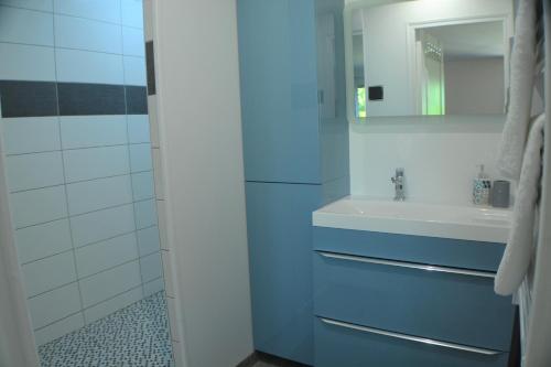 uma casa de banho azul com um lavatório e um espelho em Sur la route de champ colin em Saint-Denis-lès-Rebais