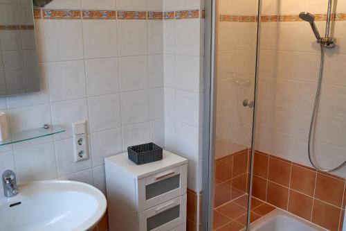 La salle de bains est pourvue d'une douche, d'un lavabo et de toilettes. dans l'établissement Taunushome, à Bad Camberg