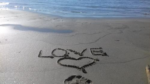 Photo de la galerie de l'établissement Duplex Centre Le Grau du Roi, au Grau-du-Roi