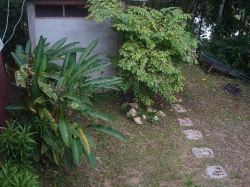ランテパオにあるRura Raya Homestayの茂みと植物のある庭園