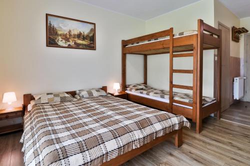 a bedroom with a bunk bed and a ladder at Apartamenty w Istebnej in Istebna