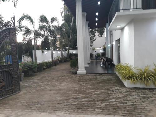 a dog is sitting in the middle of a building at The Kingston Hotel in Kiribathgoda