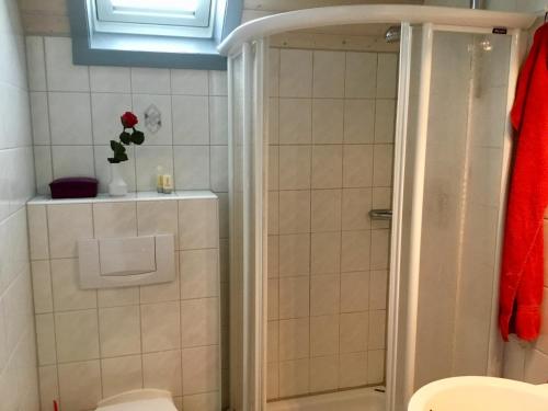 een badkamer met een douche en een toilet bij Rotkäppchen @ Seepark Kirchheim in Kirchheim