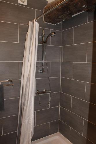 une douche avec un rideau de douche dans une salle de bain dans l'établissement Les Mouleres, à Mauvezin