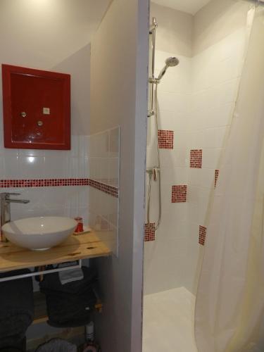 a bathroom with a shower and a sink at La Maison des Escargots in Blanzay