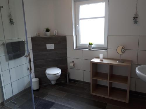 GroßheideにあるFehntjer Ferienhausのバスルーム(トイレ、洗面台付)、窓が備わります。