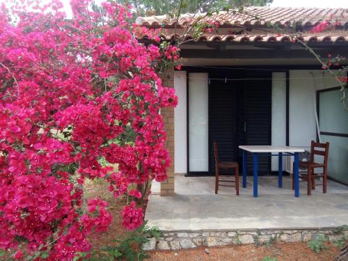 Φωτογραφία από το άλμπουμ του Hotel Dougas στο Αρκούδι