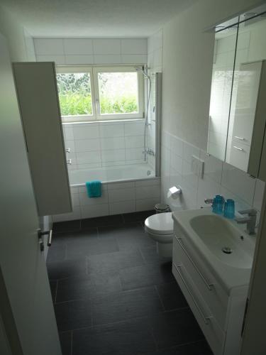 a white bathroom with a sink and a toilet at Ferienwohnungen am Fohrenberg in Meersburg