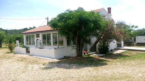 a small white house with a tree in the yard at Guesthouse Budima in Banići