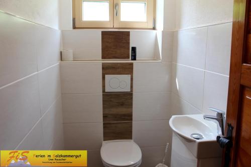 a small bathroom with a toilet and a sink at Haus Seeruhe - direkt am Grundlsee in Grundlsee
