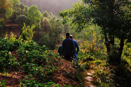 two people walking down a trail in a forest at Chirping Orchard, Mukteshwar in Mukteswar