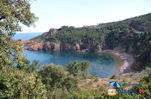 a view of a beach with trees and the ocean at "LES ALIZES" Côté jardin Proche Bord de mer in Saint-Raphaël