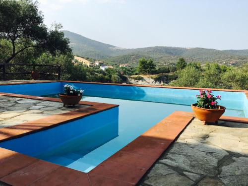 a swimming pool with two potted plants on top of it at Villa Valia: Traditional Luxurious Residence in Pyrgadikia