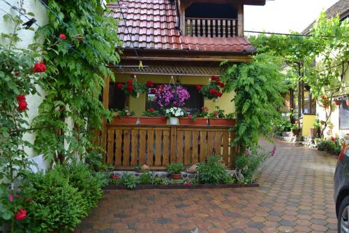 a house with flowers and a wooden fence at Casa Maria in Şura Mică