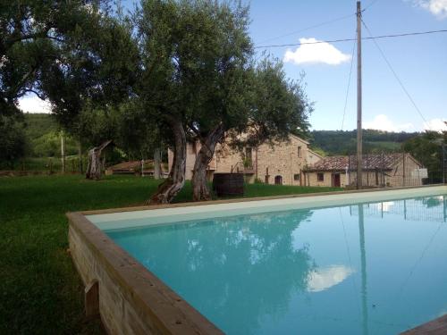 una piscina con un árbol y una casa en Casa in campagna per vacanze in Umbria con piscina, en Vicolo Rancolfo