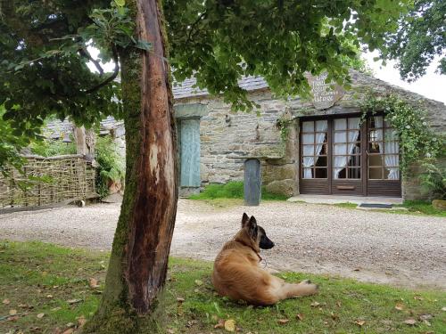 Maisonnette atypique au pied des monts d'Arree