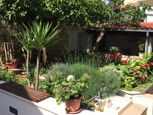 un jardin avec des plantes en pot et d'autres plantes dans l'établissement Guesthouse Kresic, à Split