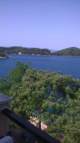 a view of a body of water with a tree at Apartments Anica in Sobra