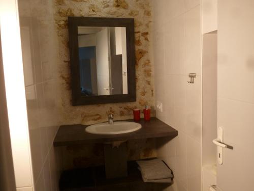a bathroom with a sink and a mirror at Domaine de calbiac in Dolmayrac