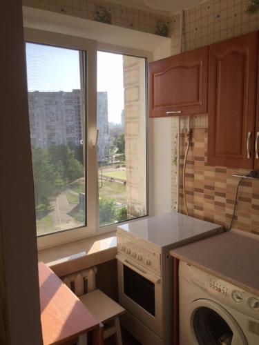 a kitchen with a window and a stove and a dishwasher at Apartment Telbin in Kyiv