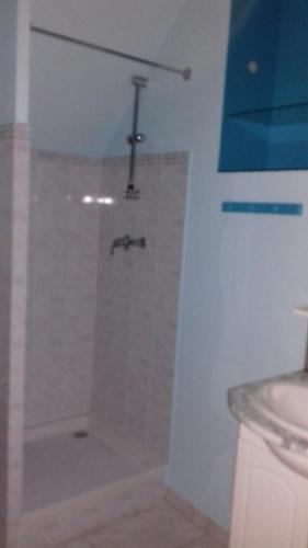 een badkamer met een bad en een douche bij Location 24 heures du Mans in Louplande