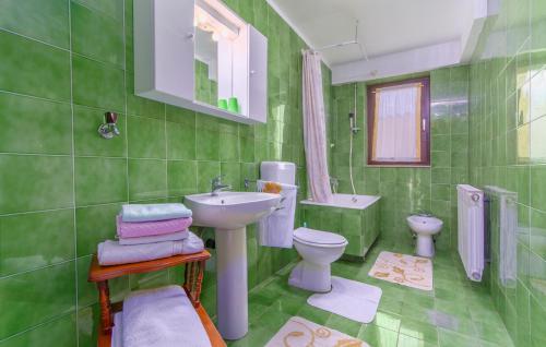 zieloną łazienkę z umywalką i toaletą. w obiekcie Apartments Rajko w Poreču