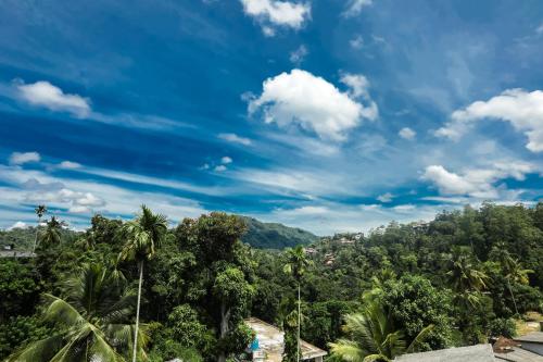 Un paisaje natural cerca de la habitación en casa particular