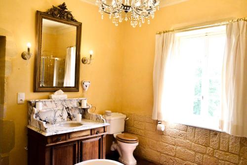a bathroom with a sink and a toilet and a mirror at Chateau d'Origny, Chambres d'hotes et Restaurant Gastronomique in Ouches