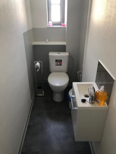 a small bathroom with a toilet and a sink at Les Charmantes in Cernay